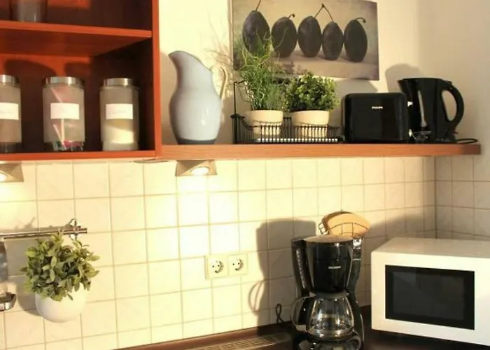 公寓 Exklusive An Der Elbe 德累斯顿